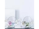 Leonardo Longdrinkglas Puccini 365 ml, 6 Stück, Transparent