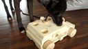 Hundespiele.ch Katzen-Strategiespiel Tunnel