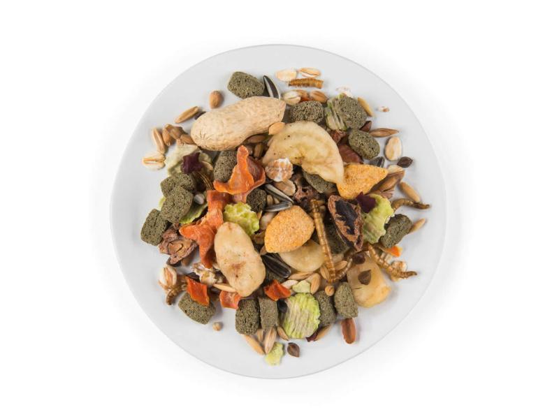 Witte Molen Hauptfutter Puur Gourmet-Müsli für Ratten