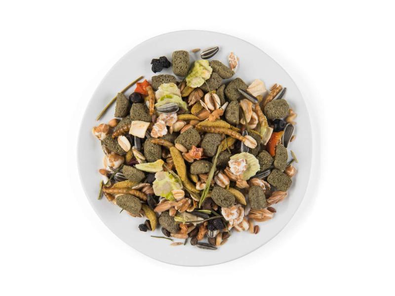 Witte Molen Hauptfutter Puur Gourmet-Müsli für Zwerghamster