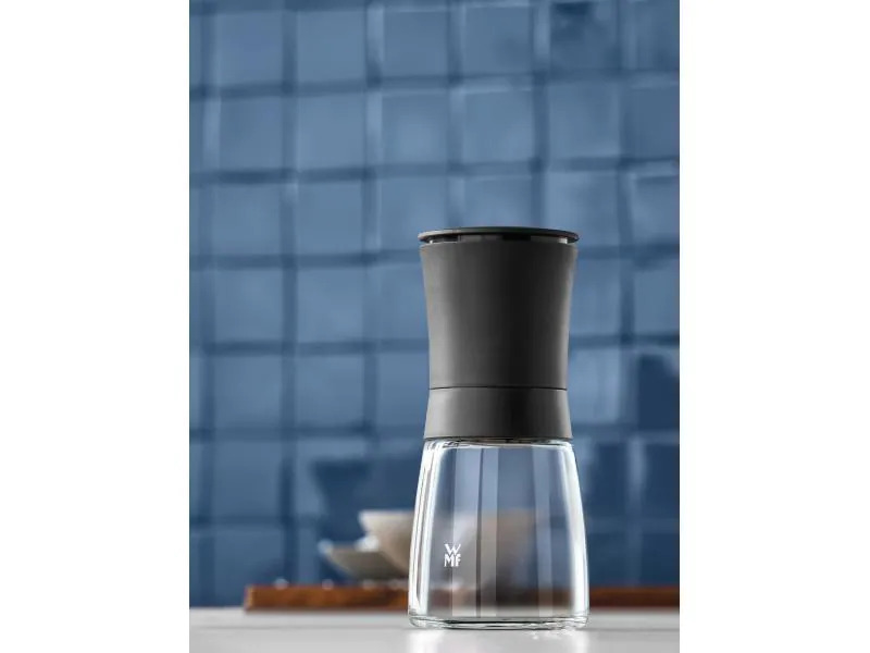 WMF Gewürzmühle Trend 14 cm, Grau/Transparent