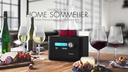 Gastroback Dekanter Home Sommelier 0.75 l, Transparent