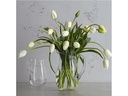 Leonardo Wasserkrug Giardino 1.5 l, Transparent