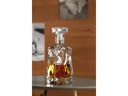Montana Wasserkaraffe DIAMONDI 0.75 l, Transparent