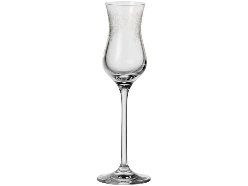 Leonardo Grappaglas Chateau 90 ml, 6 Stück, Transparent 