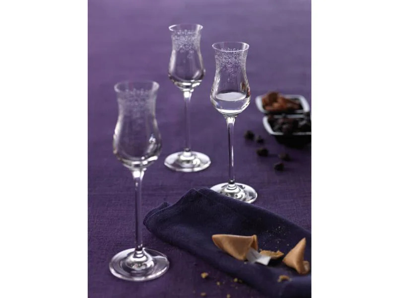 Leonardo Grappaglas Chateau 90 ml, 6 Stück, Transparent 