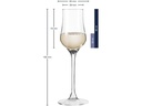 Leonardo Grappaglas Ciao 85 ml, 6 Stück, Transparent 