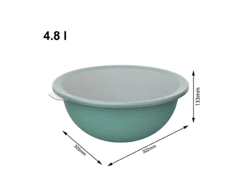 Rotho Schüssel Caruba 30.5 cm, Grün