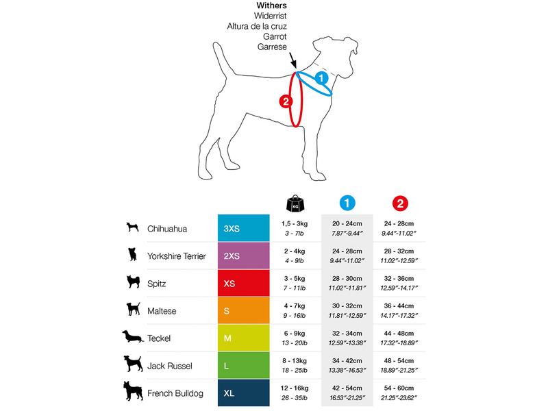 curli Geschirr Merino XS