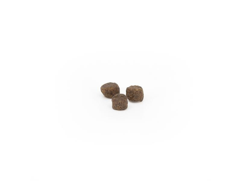 AMBA by kyli Trockenfutter Enjoy, 2 kg