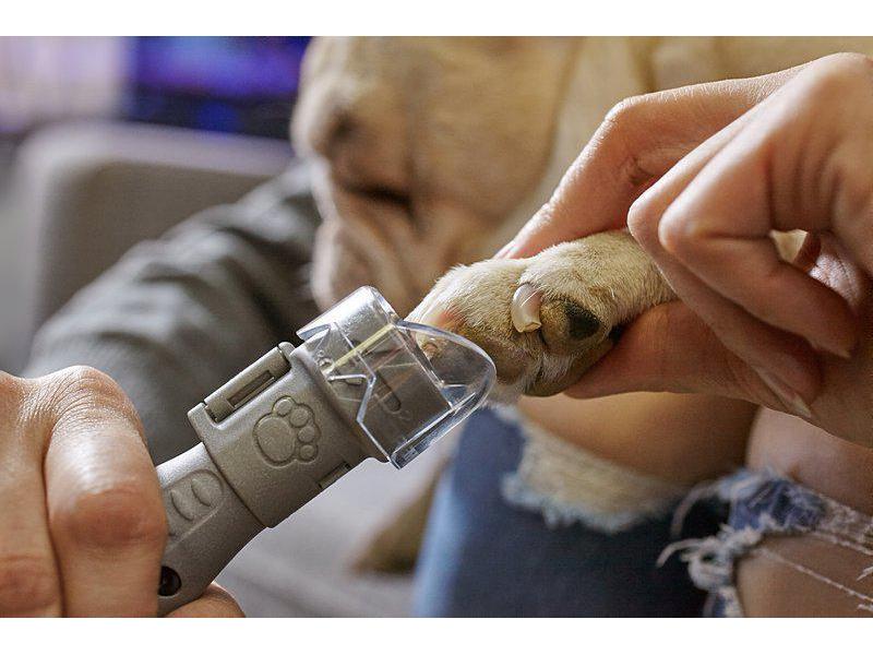 Dremel Krallenschleifer für Hunde &amp; Katzen 7020-5