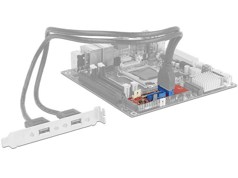 Delock Konverter M.2 Key B+M - 2x USB 3.0