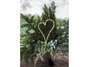 Star Trading Dekoleuchte HEART