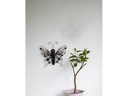 Star Trading Dekoleuchte Solar Butterfly, Schwarz
