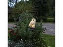 Star Trading Gartenlicht Solardekoration Owl, Beige