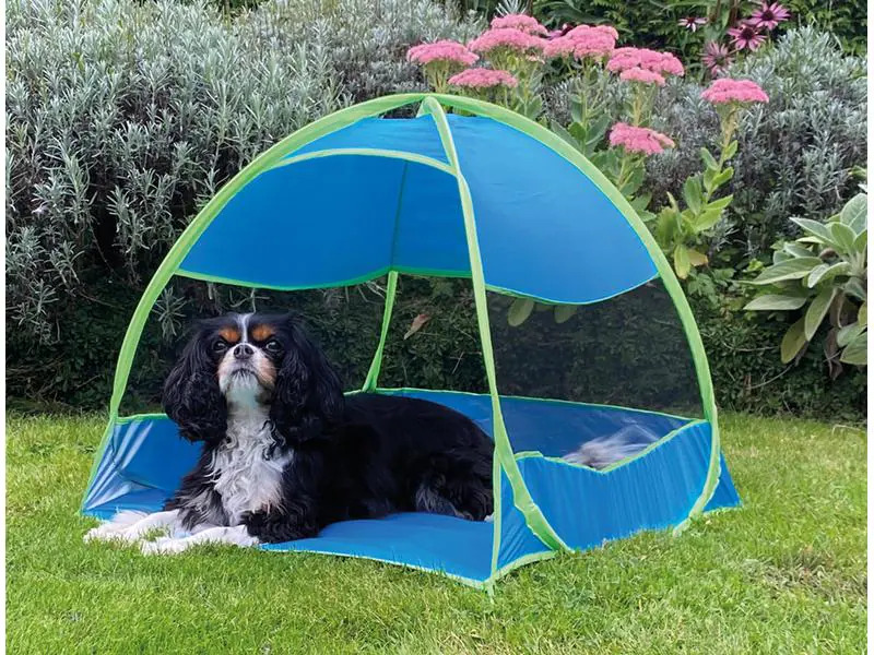Nobby Hundezelt