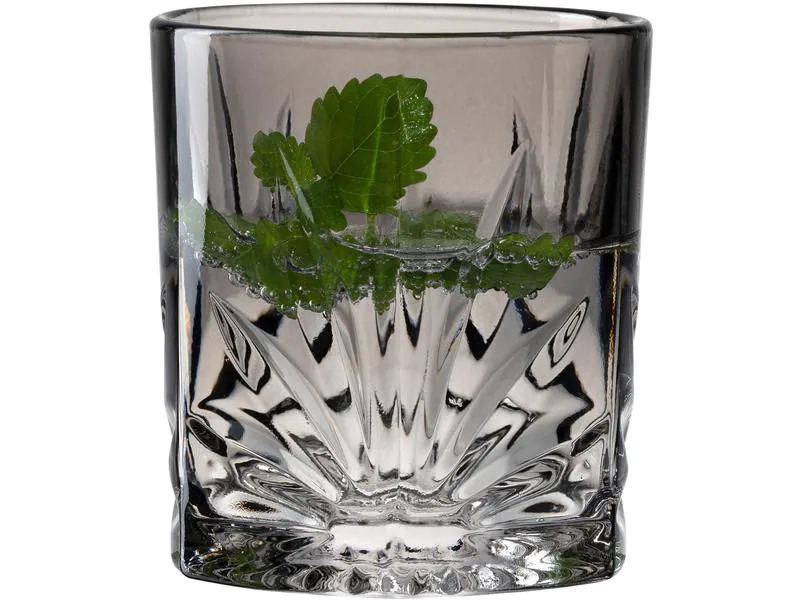 Leonardo Whiskyglas Capri 220 ml, 4 Stück, Grau