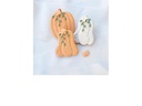 Cut my Cookies Ausstecher Serie Kürbise