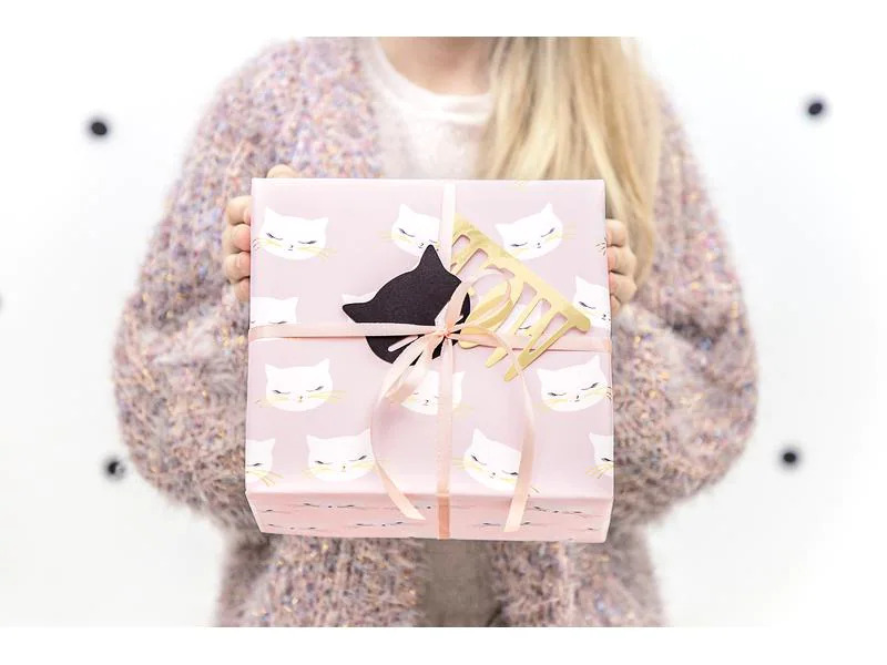 Partydeco Geschenkpapier Katze 70 x 200 cm, 2 Stück, Rosa/Weiss