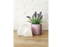 8 Seasons Design Motivlicht Shining Heart  Micro S Weiss