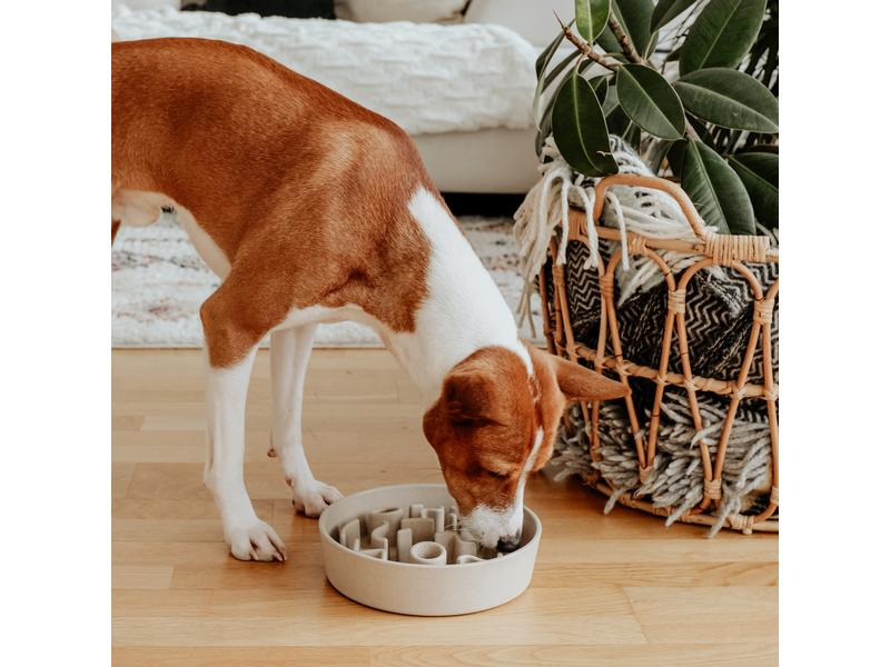 District 70 Bambusnapf Bamboo Dog Slow Feeder Ø 28 cm, Creme-Weiss