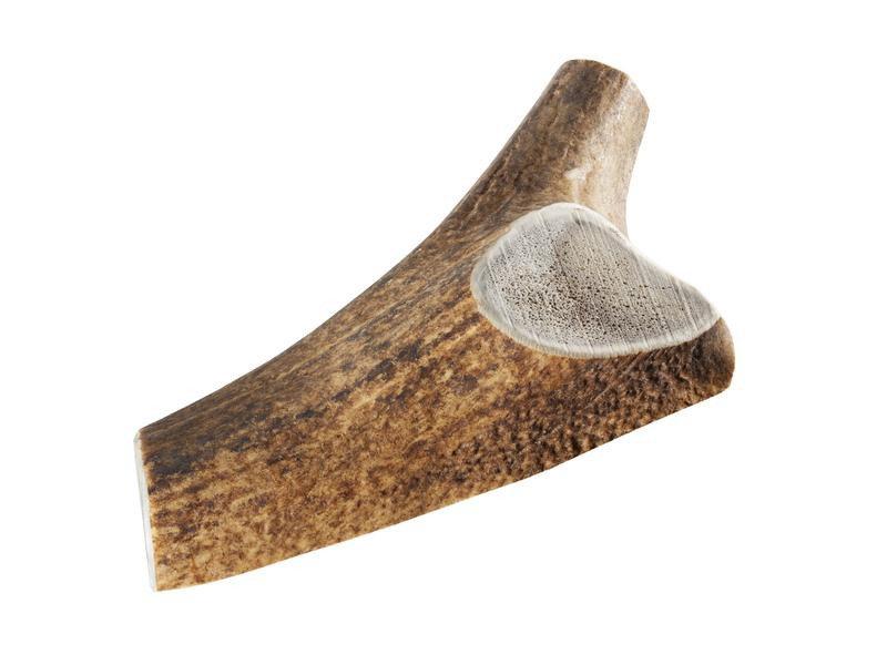 Chewies Rothirsch-Geweihstange XL halb