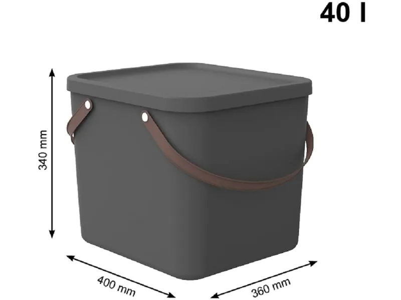 Rotho Aufbewahrungsbox Albula 40 l, Anthrazit