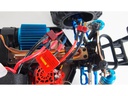 Amewi Monster Truck Crusher Brushless 4WD 1:10, RTR