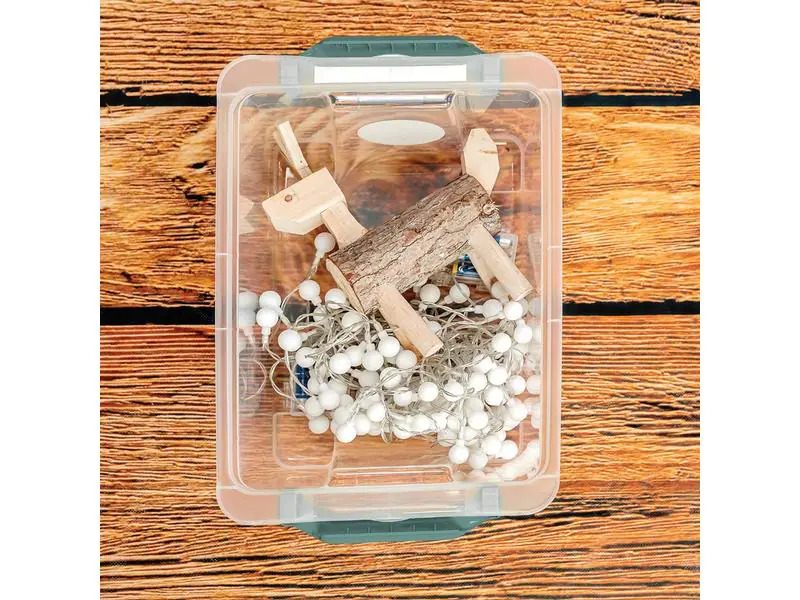 Rotho Aufbewahrungsbox Evo Safe 11 l, Grün/Transparent