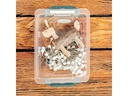 Rotho Aufbewahrungsbox Evo Safe 11 l, Grün/Transparent