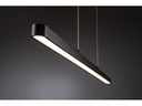 Paulmann Pendelleuchte Lento, 42 W, 2700 K, Schwarz