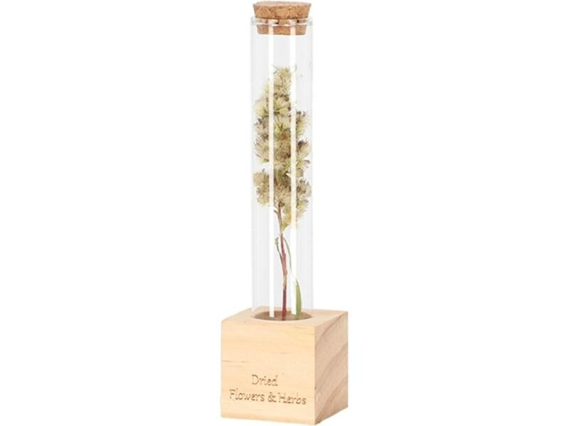Esschert Design Vase Reagenzglas S 16.5 cm, Nature/Transparent