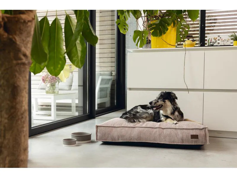 Designed by Lotte Hunde-Bett Ribbed Rosa 120x80x15cm