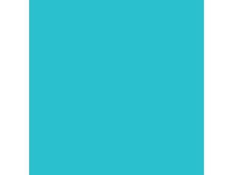 Talens Plakatfarbe Ecola 500 ml, hellblau