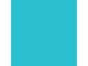Talens Plakatfarbe Ecola 500 ml, hellblau