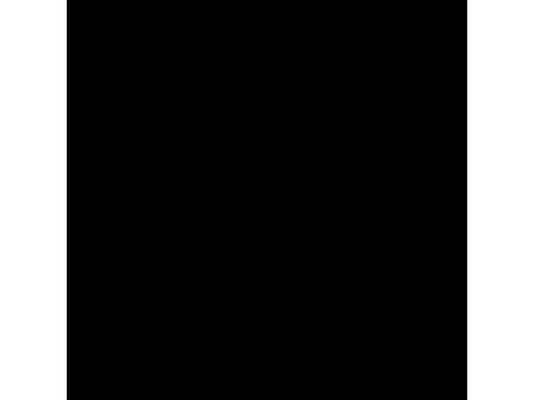 Talens Plakatfarbe Ecola 500 ml, schwarz
