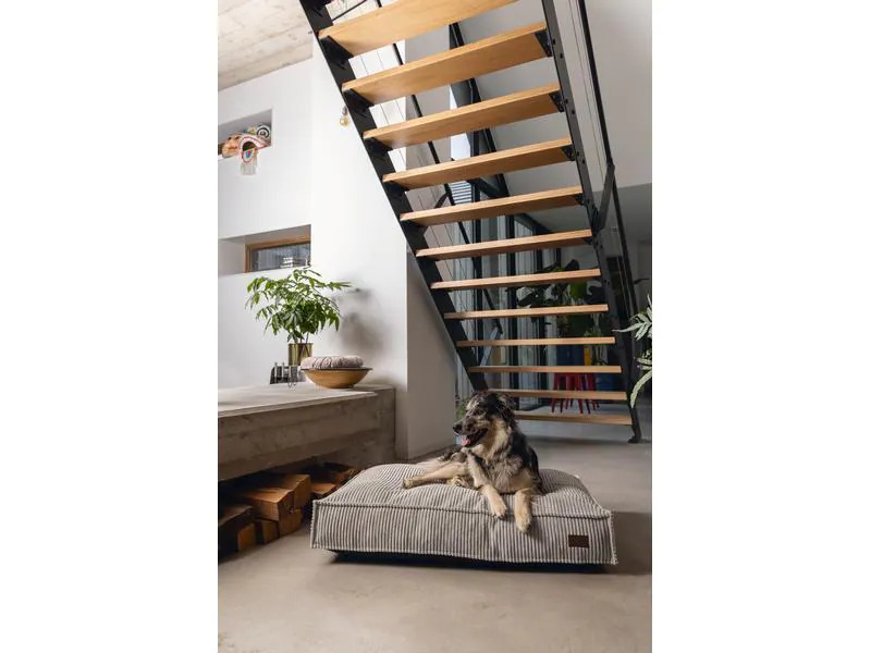 Designed by Lotte Hunde-Bett Ribbed Hellgrau 120x80x15cm
