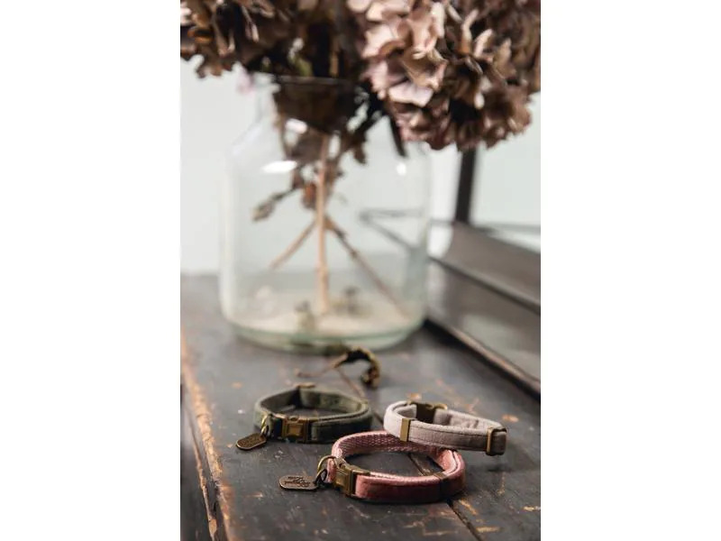 Designed by Lotte Katzenhalsband Velura Rosa