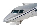 Amewi Business Jet AM650 1766 mm PNP