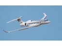 Amewi Business Jet AM650 1766 mm PNP