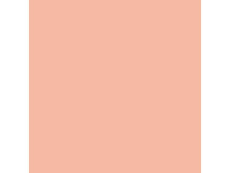 Talens Plakatfarbe Ecola 500 ml, fleischfarbig