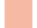 Talens Plakatfarbe Ecola 500 ml, fleischfarbig