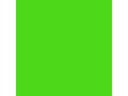 Talens Plakatfarbe Ecola 500 ml, hellgrün
