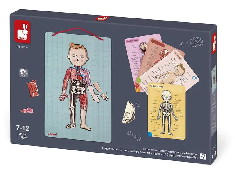 Janod Kinderspiel Magnetspiel Körper