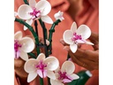 LEGO® Creator Botanicals Collection: Orchidee 10311