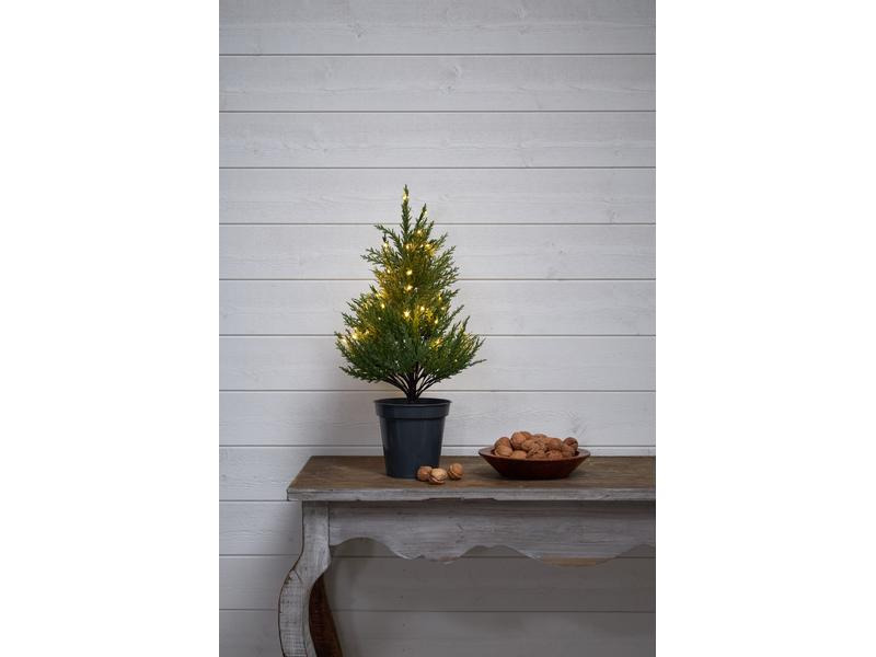 Star Trading Baum Thuja, 0.55 m, Grün, 40 LED