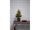 Star Trading Baum Thuja, 0.55 m, Grün, 40 LED