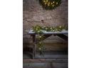 Star Trading LED-Girlande Thuja, 180 cm