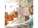 Tarifold Dokumentenhalter T-Display Wandelement Set Grau
