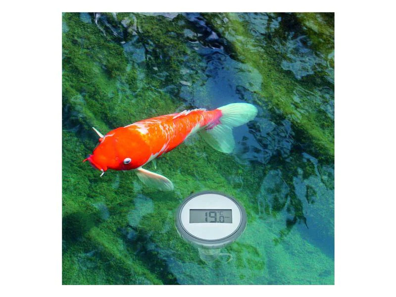 TFA Dostmann Funk-Thermometer PALMA, für Pool